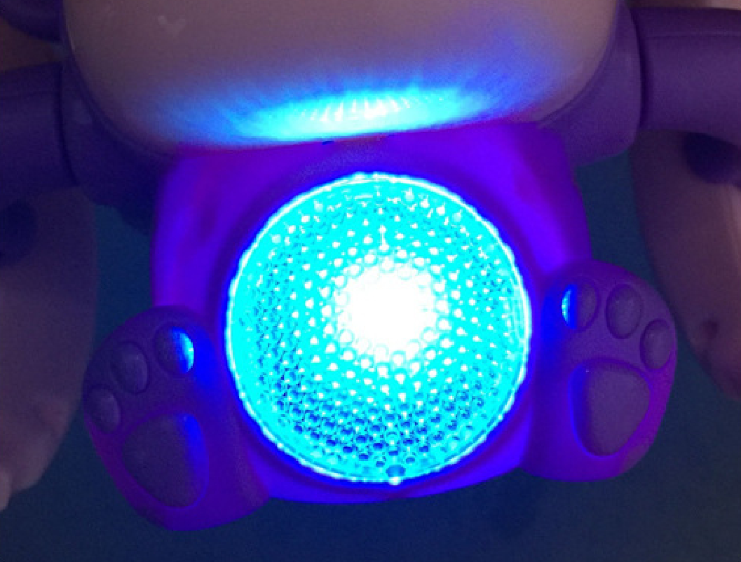 Haarentferner-Handschuhe für Tierliebhaber